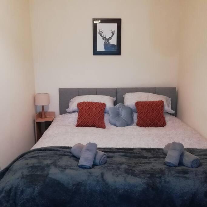 Carvetii - Norman House - 2Nd Floor, 1 Bedroom Flat Bo'ness Dış mekan fotoğraf